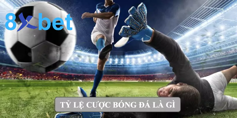 Tỷ lệ cược bóng đá là gì? Giải thích dễ hiểu về tỷ lệ cá cược 1 Tỷ lệ cược bóng đá là gì