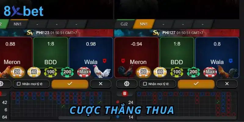Đá Gà Trực Tiếp 8Xbet - Trải Nghiệm Hấp Dẫn Và Thú Vị 4 Cược thắng thua