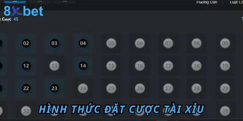 Hình thức đặt cược Tài Xỉu